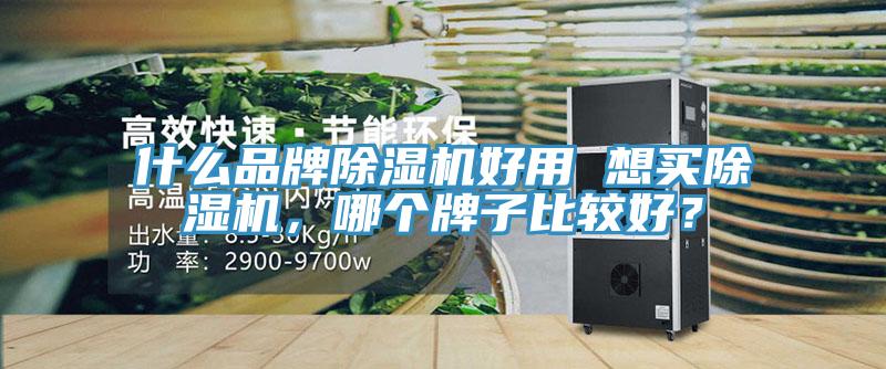什么品牌除濕機好用 想買除濕機，哪個牌子比較好？