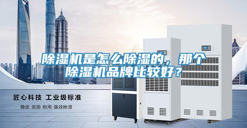 除濕機是怎么除濕的，那個除濕機品牌比較好？