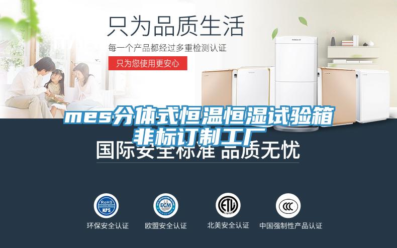 mes分體式恒溫恒濕試驗箱非標訂制工廠