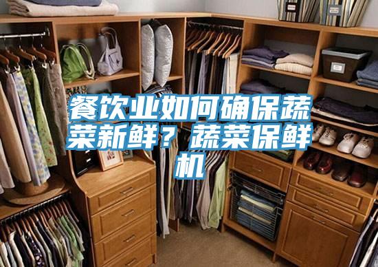 餐飲業如何確保蔬菜新鮮？蔬菜保鮮機