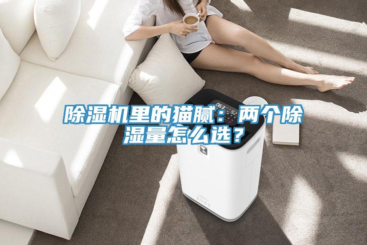 除濕機里的貓膩：兩個除濕量怎么選？