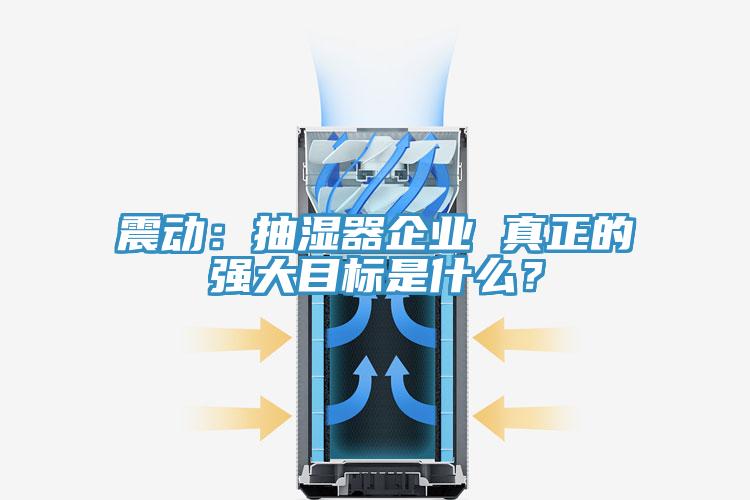 震動:抽濕器企業 真正的強大目標是什么?