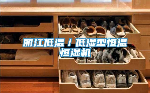 麗江低溫／低濕型恒溫恒濕機