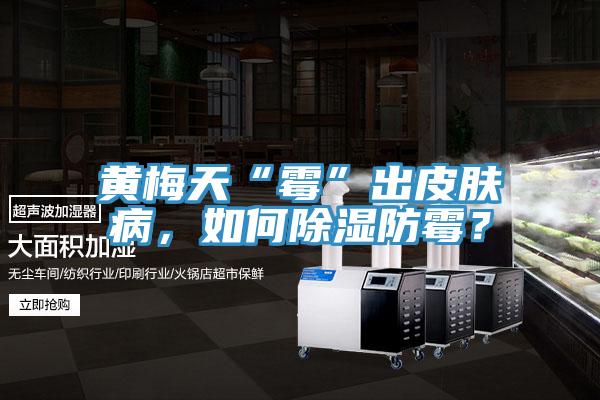 黃梅天“霉”出皮膚病，如何除濕防霉？