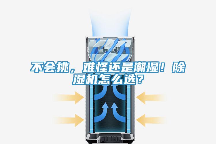 不會挑，難怪還是潮濕！除濕機怎么選？