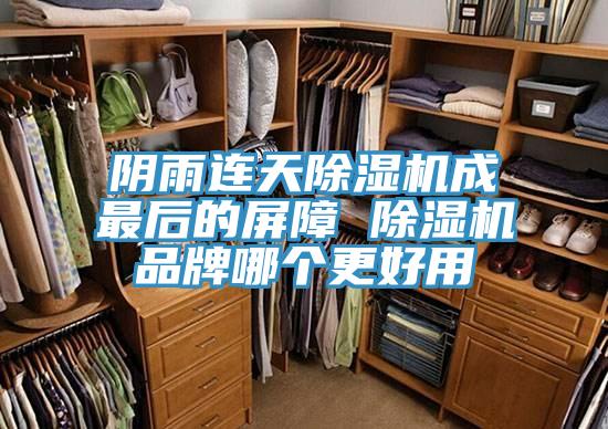 陰雨連天除濕機(jī)成最后的屏障 除濕機(jī)品牌哪個(gè)更好用