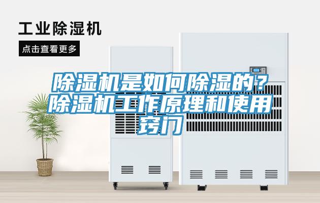 除濕機是如何除濕的？除濕機工作原理和使用竅門