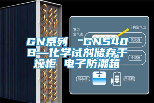 GN系列  GN540B—化學試劑儲存干燥柜 電子防潮箱