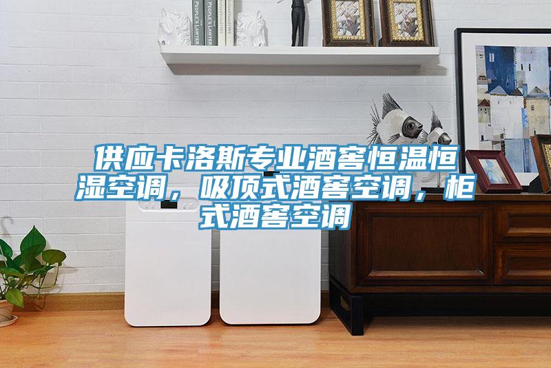 供應卡洛斯專業酒窖恒溫恒濕空調,吸頂式酒窖空調,柜式酒窖空調