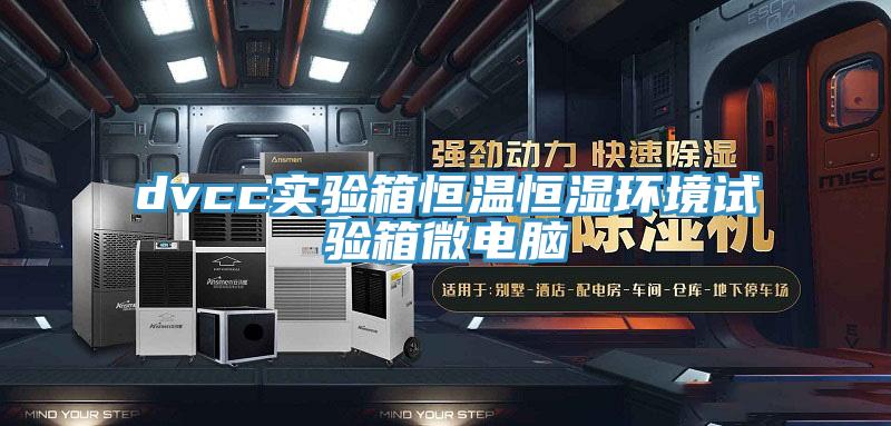 dvcc實驗箱恒溫恒濕環(huán)境試驗箱微電腦