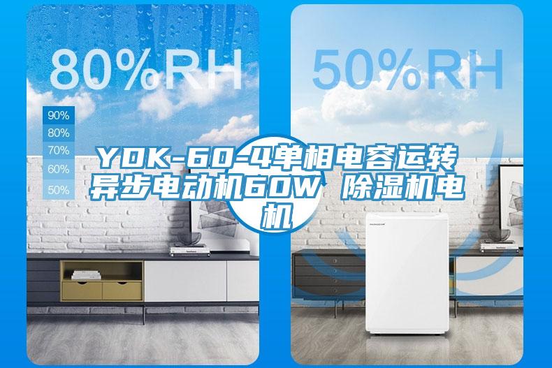 YDK-60-4單相電容運轉異步電動機60W 除濕機電機