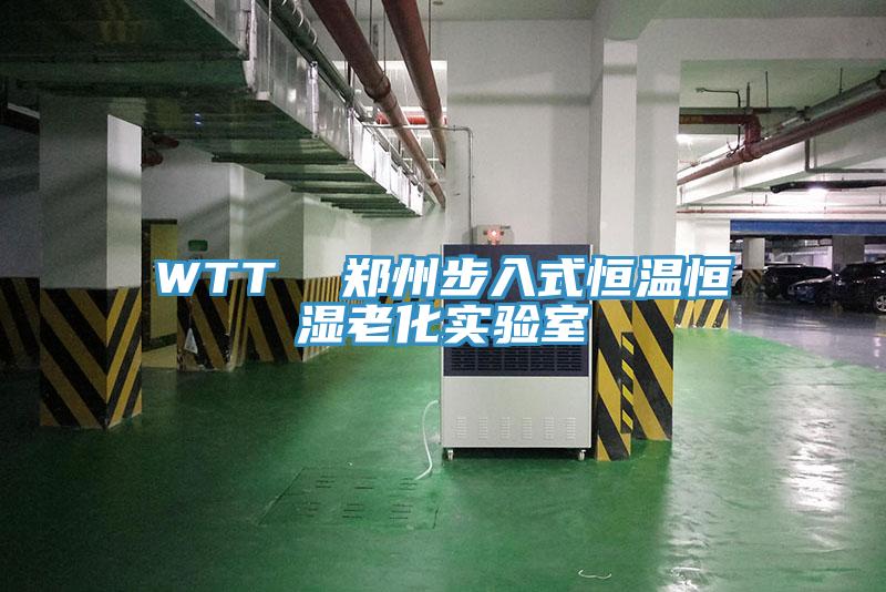 WTT 鄭州步入式恒溫恒濕老化實驗室