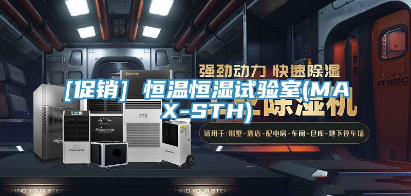 [促銷] 恒溫恒濕試驗室(MAX-STH)