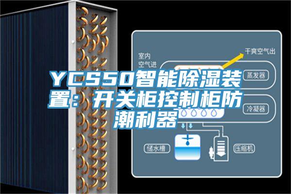 YCS50智能除濕裝置：開關柜控制柜防潮利器
