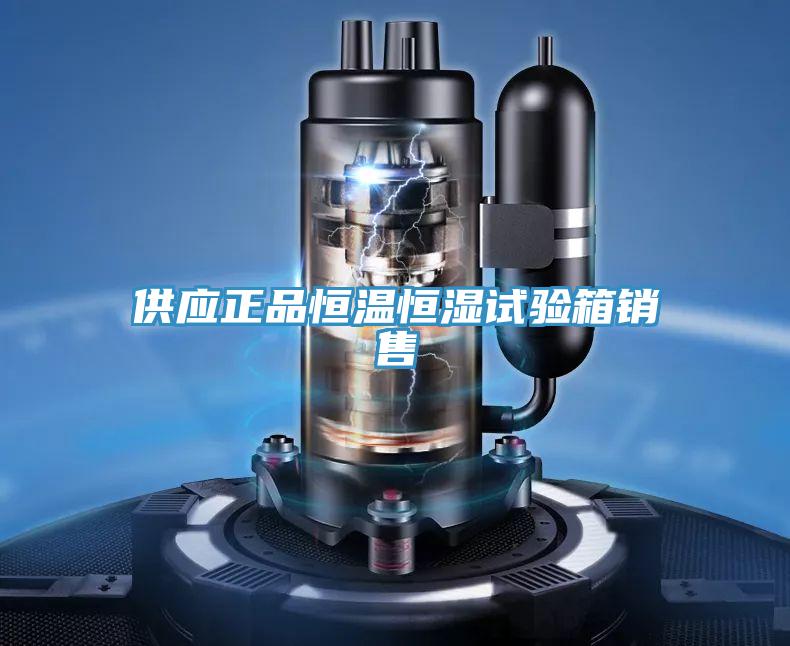 供應(yīng)正品恒溫恒濕試驗(yàn)箱銷售