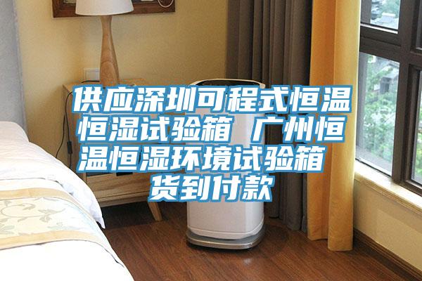 供應(yīng)深圳可程式恒溫恒濕試驗(yàn)箱 廣州恒溫恒濕環(huán)境試驗(yàn)箱 貨到付款