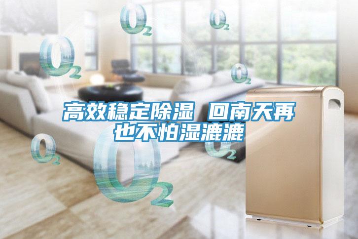 高效穩定除濕 回南天再也不怕濕漉漉