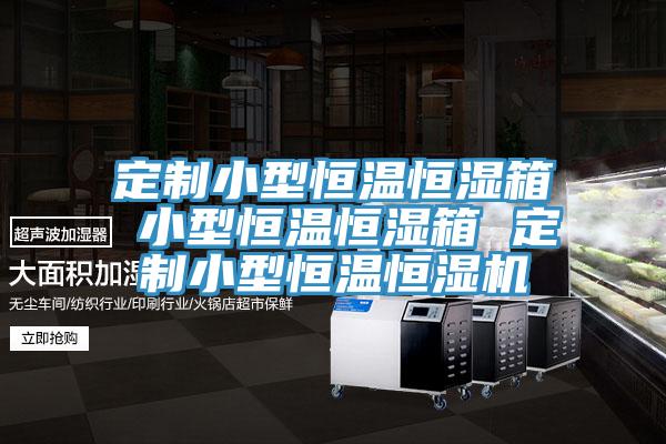 定制小型恒溫恒濕箱 小型恒溫恒濕箱 定制小型恒溫恒濕機