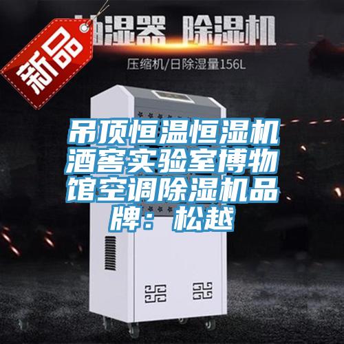 吊頂恒溫恒濕機酒窖實驗室博物館空調(diào)除濕機品牌：松越