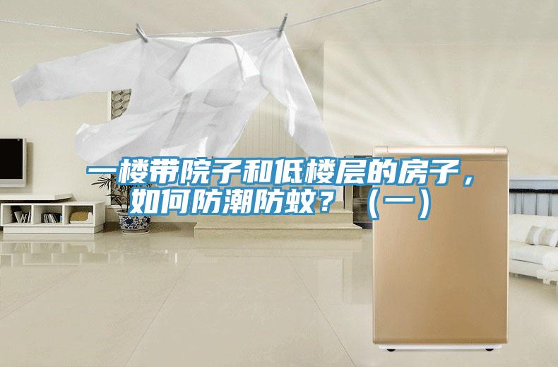 一樓帶院子和低樓層的房子，如何防潮防蚊？（一）