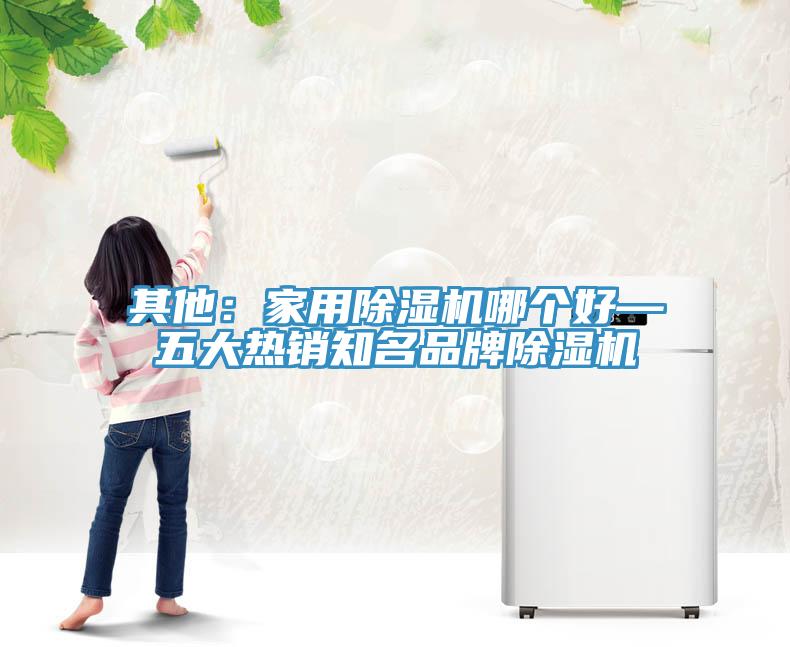 其他：家用除濕機(jī)哪個(gè)好—五大熱銷知名品牌除濕機(jī)