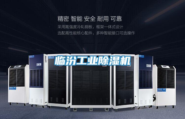 臨汾工業除濕機