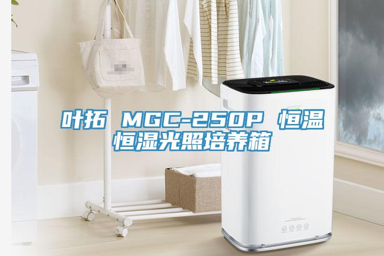 葉拓 MGC-250P 恒溫恒濕光照培養箱