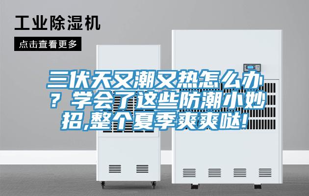 三伏天又潮又熱怎么辦？學會了這些防潮小妙招,整個夏季爽爽噠!