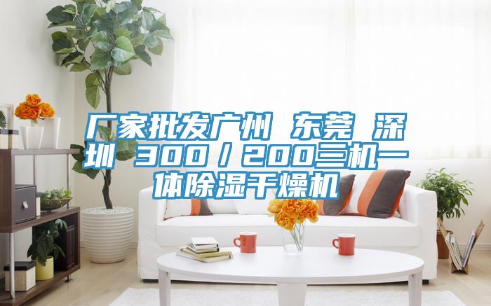 廠家批發廣州 東莞 深圳 300／200三機一體除濕干燥機