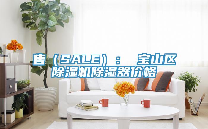 售（SALE）： 寶山區除濕機除濕器價格