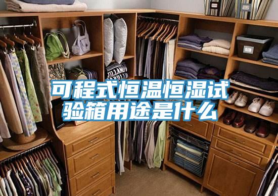 可程式恒溫恒濕試驗(yàn)箱用途是什么