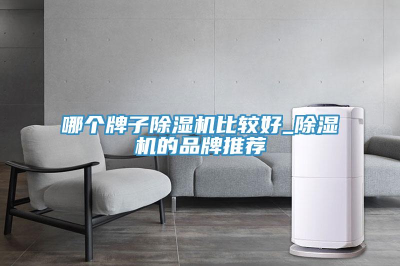 哪個牌子除濕機比較好_除濕機的品牌推薦