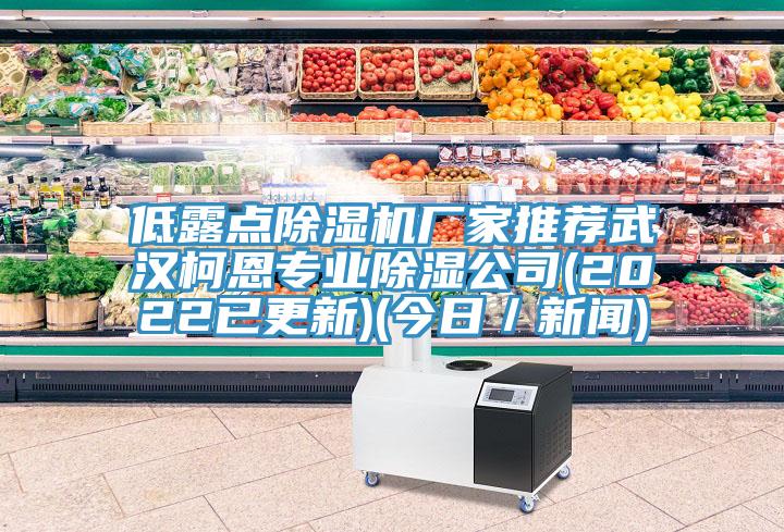 低露點除濕機廠家推薦武漢柯恩專業除濕公司(2022已更新)(今日／新聞)