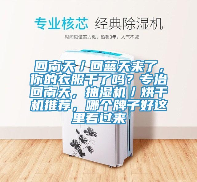 回南天／回藍(lán)天來(lái)了，你的衣服干了嗎？專治回南天，抽濕機(jī)／烘干機(jī)推薦，哪個(gè)牌子好這里看過(guò)來(lái)