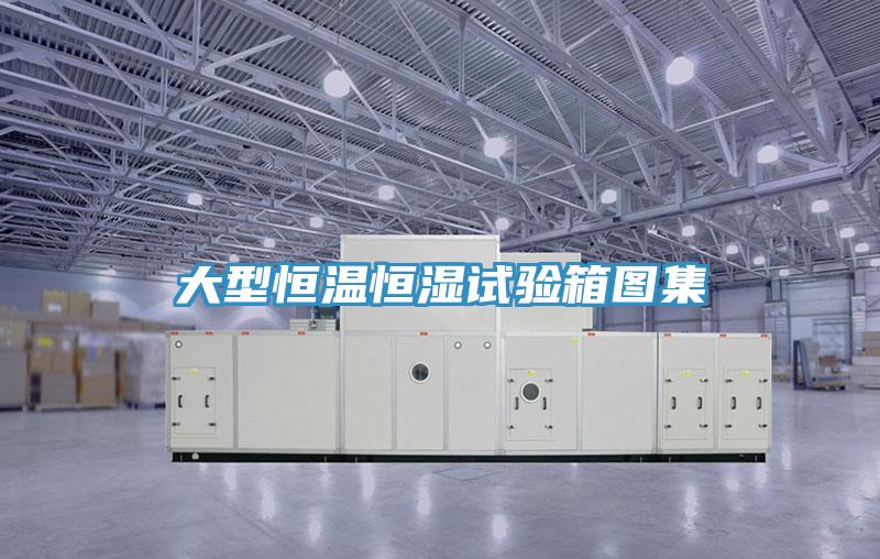 大型恒溫恒濕試驗(yàn)箱圖集