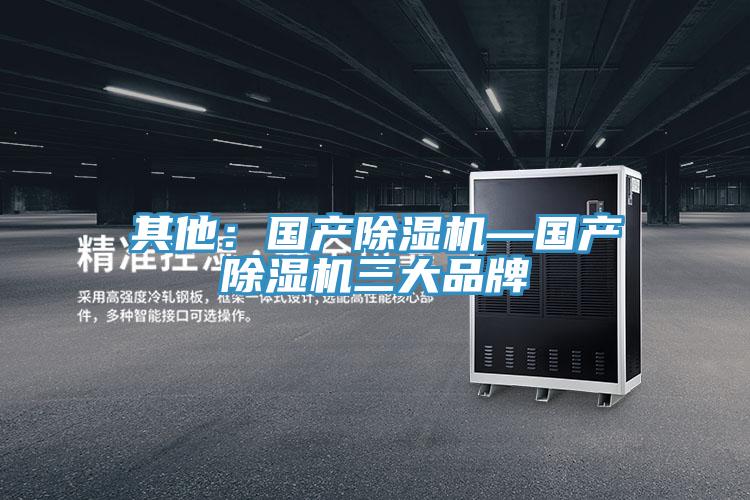 其他：國產除濕機—國產除濕機三大品牌
