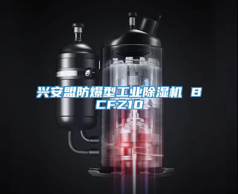 興安盟防爆型工業(yè)除濕機 BCFZ10