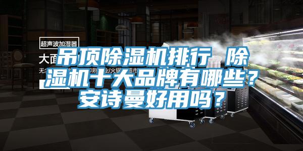 吊頂除濕機排行 除濕機十大品牌有哪些？安詩曼好用嗎？