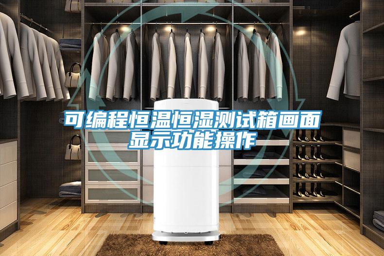 可編程恒溫恒濕測試箱畫面顯示功能操作