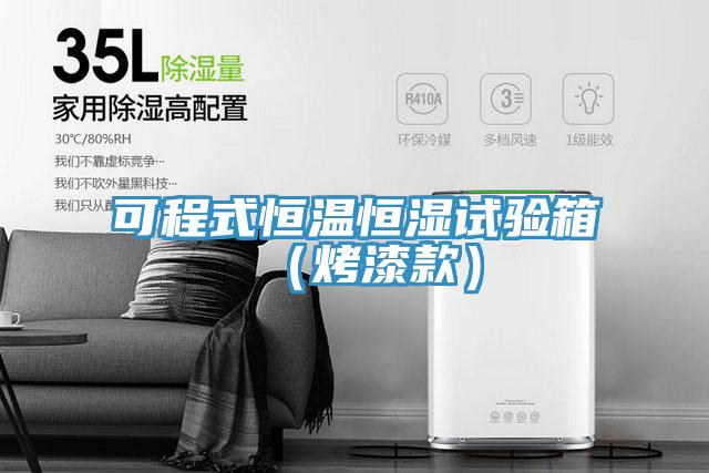 可程式恒溫恒濕試驗箱（烤漆款）