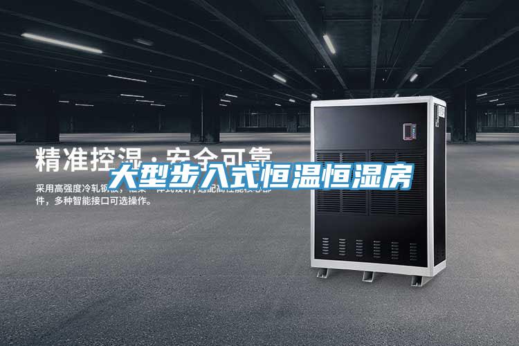 大型步入式恒溫恒濕房