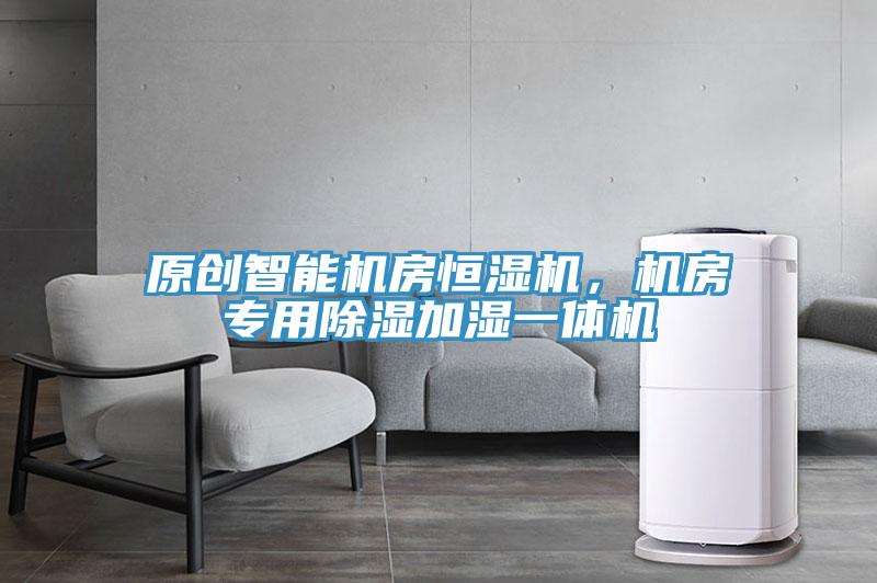 原創(chuàng)智能機房恒濕機，機房專用除濕加濕一體機