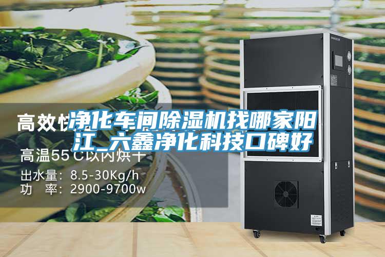 凈化車間除濕機(jī)找哪家陽江_六鑫凈化科技口碑好