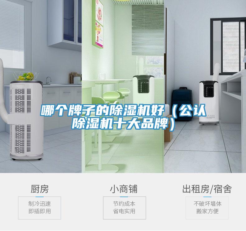 哪個牌子的除濕機好（公認除濕機十大品牌）