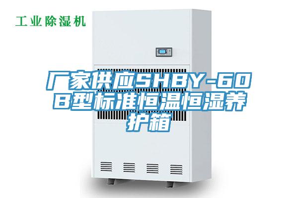 廠家供應SHBY-60B型標準恒溫恒濕養護箱