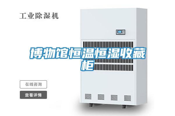 博物館恒溫恒濕收藏柜