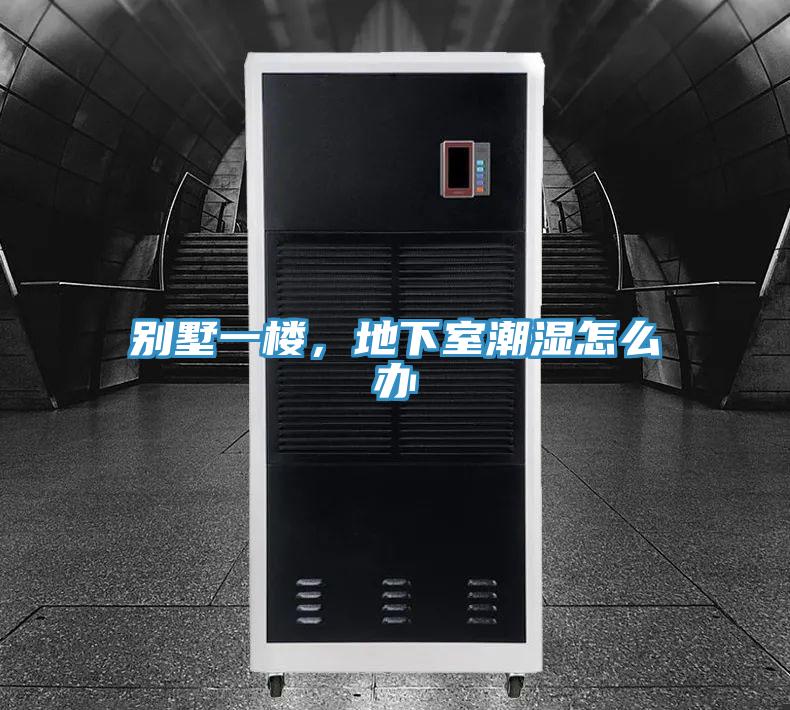 別墅一樓，地下室潮濕怎么辦