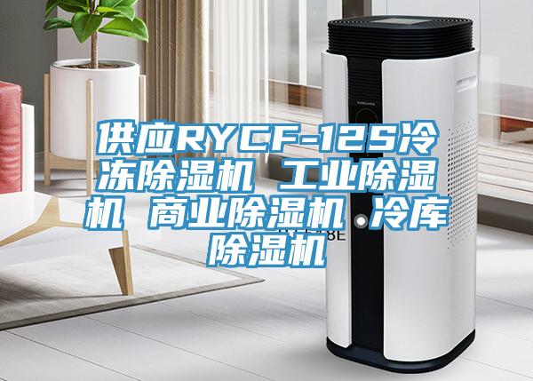 供應(yīng)RYCF-12S冷凍除濕機(jī) 工業(yè)除濕機(jī) 商業(yè)除濕機(jī) 冷庫除濕機(jī)