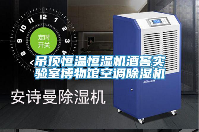 吊頂恒溫恒濕機(jī)酒窖實(shí)驗(yàn)室博物館空調(diào)除濕機(jī)