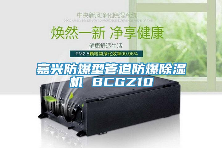 嘉興防爆型管道防爆除濕機 BCGZ10